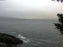 ./images/koeye/fitz-hugh/20200903/fitz-hugh20200903_072002.jpg
