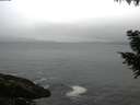./images/koeye/fitz-hugh/20200903/fitz-hugh20200903_072502.jpg