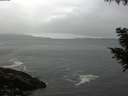 ./images/koeye/fitz-hugh/20200903/fitz-hugh20200903_073502.jpg
