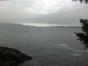 ./images/koeye/fitz-hugh/20200903/fitz-hugh20200903_074002.jpg