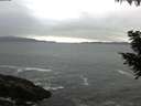 ./images/koeye/fitz-hugh/20200903/fitz-hugh20200903_074502.jpg