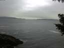 ./images/koeye/fitz-hugh/20200903/fitz-hugh20200903_075002.jpg