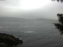 ./images/koeye/fitz-hugh/20200903/fitz-hugh20200903_075502.jpg