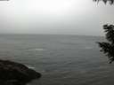 ./images/koeye/fitz-hugh/20200903/fitz-hugh20200903_080002.jpg