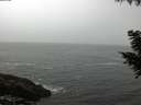 ./images/koeye/fitz-hugh/20200903/fitz-hugh20200903_080501.jpg