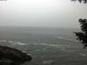 ./images/koeye/fitz-hugh/20200903/fitz-hugh20200903_081001.jpg