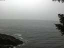 ./images/koeye/fitz-hugh/20200903/fitz-hugh20200903_082501.jpg