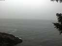 ./images/koeye/fitz-hugh/20200903/fitz-hugh20200903_083501.jpg