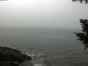 ./images/koeye/fitz-hugh/20200903/fitz-hugh20200903_084001.jpg