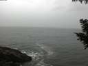 ./images/koeye/fitz-hugh/20200903/fitz-hugh20200903_084501.jpg