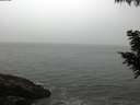 ./images/koeye/fitz-hugh/20200903/fitz-hugh20200903_085001.jpg