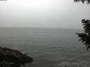 ./images/koeye/fitz-hugh/20200903/fitz-hugh20200903_085501.jpg