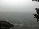 ./images/koeye/fitz-hugh/20200903/fitz-hugh20200903_091001.jpg