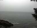 ./images/koeye/fitz-hugh/20200903/fitz-hugh20200903_092501.jpg