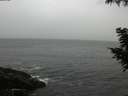 ./images/koeye/fitz-hugh/20200903/fitz-hugh20200903_094001.jpg
