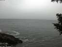 ./images/koeye/fitz-hugh/20200903/fitz-hugh20200903_094501.jpg