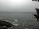 ./images/koeye/fitz-hugh/20200903/fitz-hugh20200903_095001.jpg