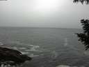./images/koeye/fitz-hugh/20200903/fitz-hugh20200903_095501.jpg