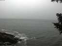 ./images/koeye/fitz-hugh/20200903/fitz-hugh20200903_101002.jpg