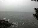 ./images/koeye/fitz-hugh/20200903/fitz-hugh20200903_101502.jpg