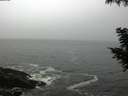 ./images/koeye/fitz-hugh/20200903/fitz-hugh20200903_102002.jpg