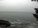 ./images/koeye/fitz-hugh/20200903/fitz-hugh20200903_104002.jpg