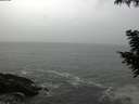 ./images/koeye/fitz-hugh/20200903/fitz-hugh20200903_104502.jpg
