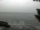./images/koeye/fitz-hugh/20200903/fitz-hugh20200903_105002.jpg