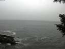 ./images/koeye/fitz-hugh/20200903/fitz-hugh20200903_111001.jpg