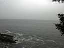 ./images/koeye/fitz-hugh/20200903/fitz-hugh20200903_111501.jpg