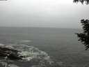 ./images/koeye/fitz-hugh/20200903/fitz-hugh20200903_114501.jpg