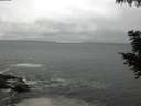 ./images/koeye/fitz-hugh/20200903/fitz-hugh20200903_122001.jpg