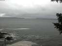 ./images/koeye/fitz-hugh/20200903/fitz-hugh20200903_122501.jpg