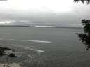 ./images/koeye/fitz-hugh/20200903/fitz-hugh20200903_123501.jpg
