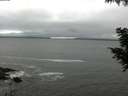 ./images/koeye/fitz-hugh/20200903/fitz-hugh20200903_124001.jpg
