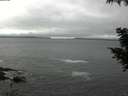 ./images/koeye/fitz-hugh/20200903/fitz-hugh20200903_124501.jpg