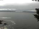 ./images/koeye/fitz-hugh/20200903/fitz-hugh20200903_125501.jpg