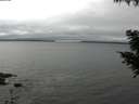 ./images/koeye/fitz-hugh/20200903/fitz-hugh20200903_130502.jpg