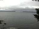 ./images/koeye/fitz-hugh/20200903/fitz-hugh20200903_131001.jpg