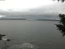 ./images/koeye/fitz-hugh/20200903/fitz-hugh20200903_131502.jpg