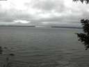 ./images/koeye/fitz-hugh/20200903/fitz-hugh20200903_134502.jpg
