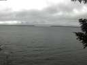 ./images/koeye/fitz-hugh/20200903/fitz-hugh20200903_141001.jpg