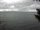 ./images/koeye/fitz-hugh/20200903/fitz-hugh20200903_143501.jpg