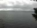 ./images/koeye/fitz-hugh/20200903/fitz-hugh20200903_144001.jpg