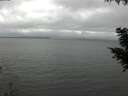 ./images/koeye/fitz-hugh/20200903/fitz-hugh20200903_145001.jpg