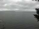 ./images/koeye/fitz-hugh/20200903/fitz-hugh20200903_145501.jpg