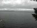 ./images/koeye/fitz-hugh/20200903/fitz-hugh20200903_150501.jpg