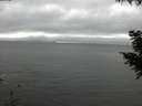 ./images/koeye/fitz-hugh/20200903/fitz-hugh20200903_151001.jpg