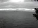 ./images/koeye/fitz-hugh/20200903/fitz-hugh20200903_151501.jpg
