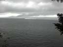 ./images/koeye/fitz-hugh/20200903/fitz-hugh20200903_152001.jpg